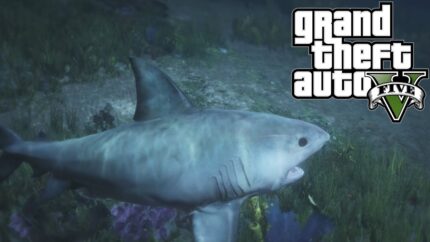 Grand Theft Auto V GTA: Whale Shark